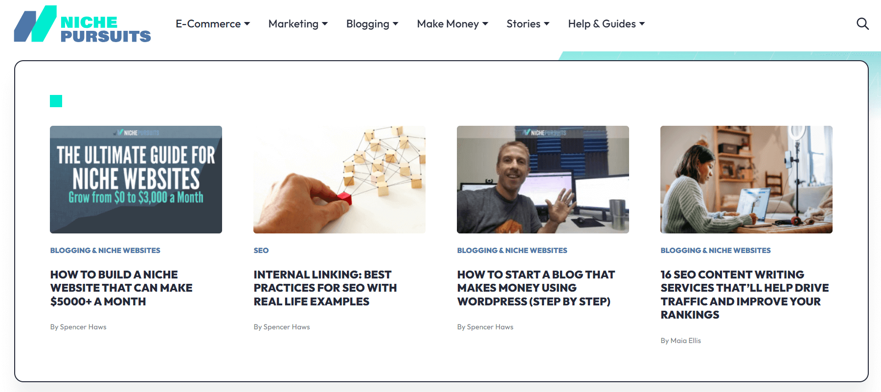 Niche Pursuits homepage