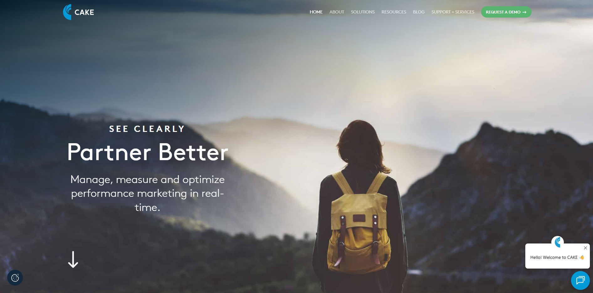 CAKE homepage featuring real-time performance marketing software for lead distribution, measurement, and optimization.